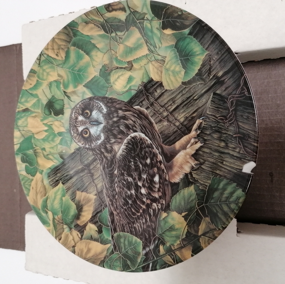 The Short-Eared Owl Collection Plate.